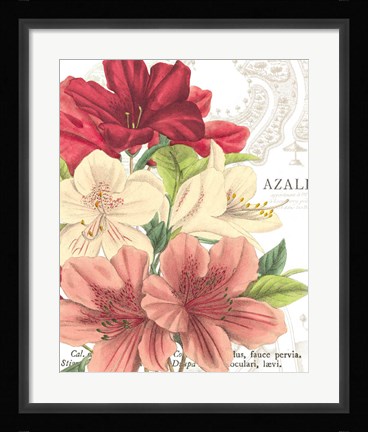 Framed Azalee Jardin II Print