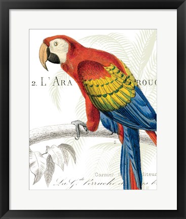 Framed Parrot Botanique II Print