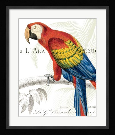 Framed Parrot Botanique II Print