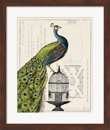 Framed Peacock Birdcage I Print