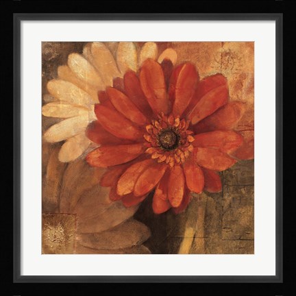 Framed Bold Gerberas III Print