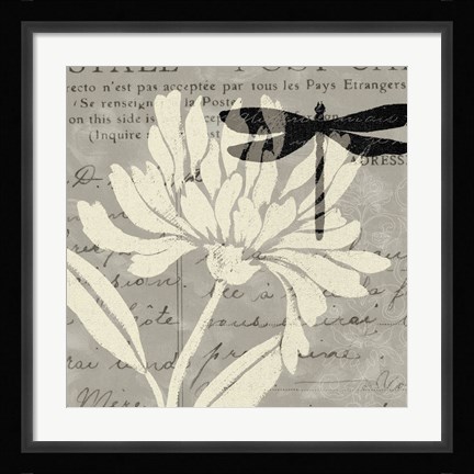 Framed Natural Prints II Print