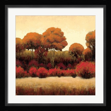Framed Autumn Forest II Print