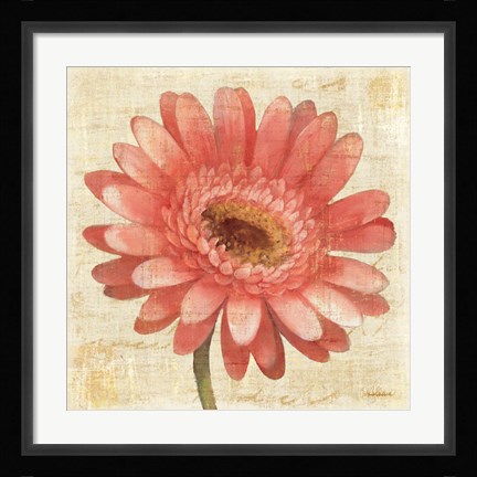 Framed Blushing Gerbera on Cream Print