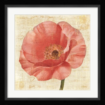 Framed Blushing Poppy on Cream Print