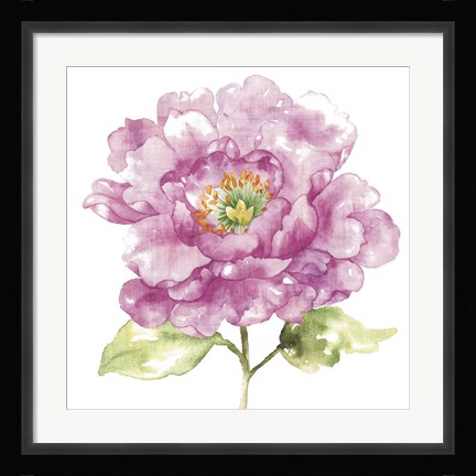 Framed Water Flower I Print