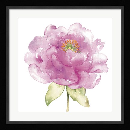 Framed Water Flower II Print