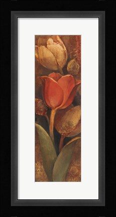 Framed Tulip Shadow II Print