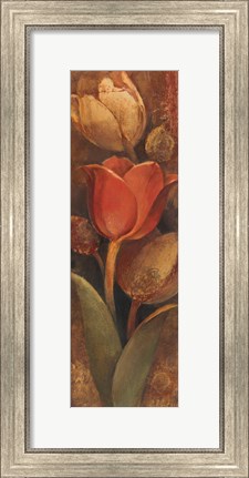Framed Tulip Shadow II Print