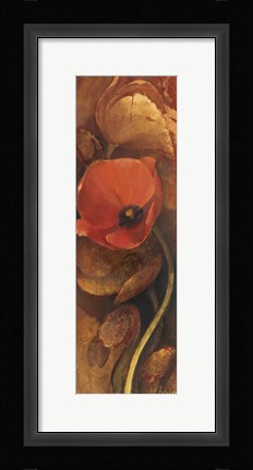 Framed Tulip Shadow III Print