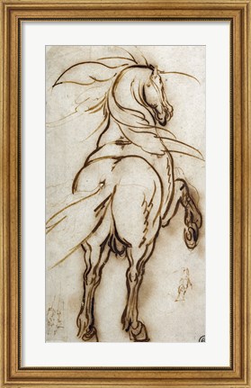 Framed Study of a Rearing Horse Print