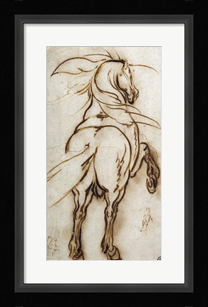 Framed Study of a Rearing Horse Print