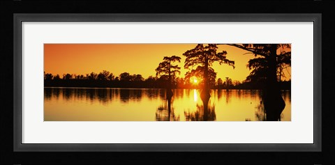 Framed Cypress trees at sunset, Horseshoe Lake Conservation Area, Alexander County, Illinois, USA Print