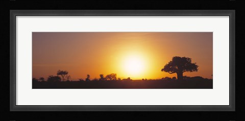 Framed Sunset, Tarangire, Tanzania, Africa Print