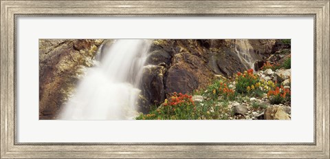 Framed Spalding Falls Grand Teton National Park WY Print