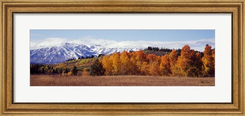 Framed Autumn Grand Teton National Park WY Print