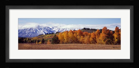 Framed Autumn Grand Teton National Park WY Print