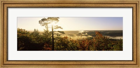 Framed Forest in autumn at sunset, Ottawa National Forest, Upper Peninsula, Michigan, USA Print