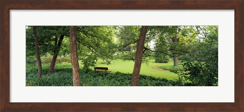 Framed Trees in a park, Adams Park, Wheaton, Illinois, USA Print