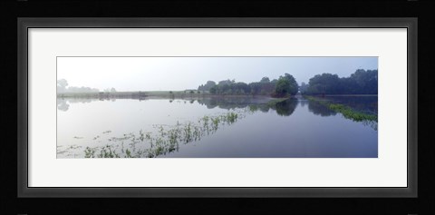 Framed Standing floodwater, Mississippi River, Illinois, USA Print