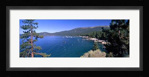 Framed Trees with lake in the background, Lake Tahoe, California, USA Print