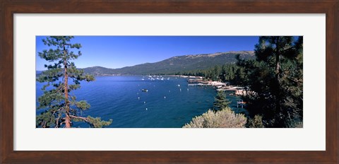 Framed Trees with lake in the background, Lake Tahoe, California, USA Print