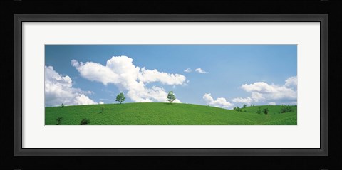 Framed Grassland with blue sky and clouds Print