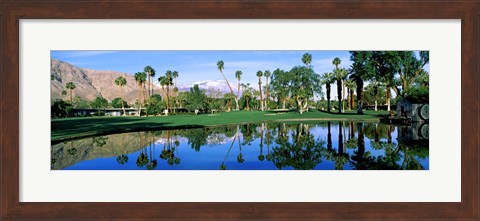 Framed Reflection of trees on water, Thunderbird Country Club, Rancho Mirage, Riverside County, California, USA Print