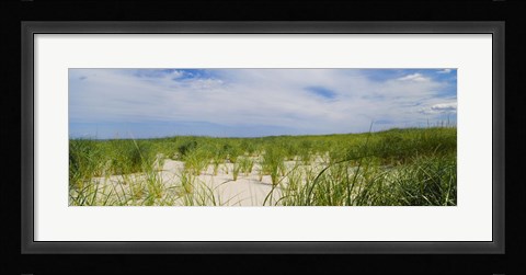 Framed Sand dunes at Crane Beach, Ipswich, Essex County, Massachusetts, USA Print