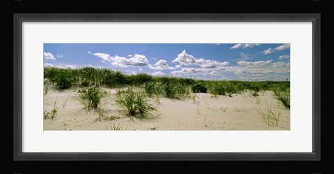 Framed Grass among the dunes, Crane Beach, Ipswich, Essex County, Massachusetts, USA Print