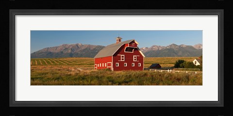 Framed Barn in a field with a Wallowa Mountains in the background, Enterprise, Wallowa County, Oregon, USA Print