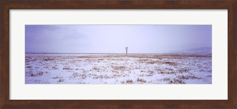 Framed Snow covered landscape in winter, Antelope Flat, Grand Teton National Park, Wyoming, USA Print