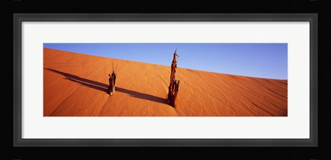Framed Dead Pines at Coral Pink Sand Dunes State Park, Utah Print