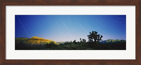 Framed Star trails over Red Rock Canyon National Conservation Area, Nevada, USA Print