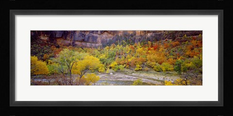 Framed Big Bend in fall, Zion National Park, Utah, USA Print
