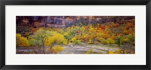 Framed Big Bend in fall, Zion National Park, Utah, USA Print