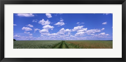 Framed Road through agriculture fields, Baden-Wurttemberg, Germany Print