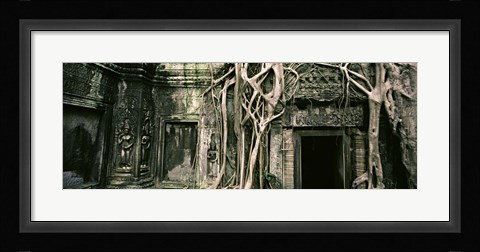 Framed Ruins of Ta Prohm Temple, Angkor, Cambodia Print