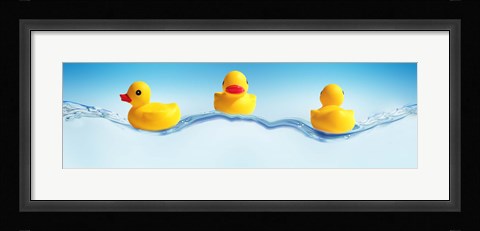 Framed Three ducks on water Print