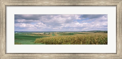 Framed Corn and Alfalfa Fields, Wisconsin Print