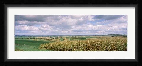 Framed Corn and Alfalfa Fields, Wisconsin Print