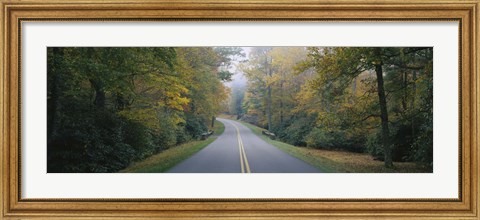 Framed Trees along a road, Blue Ridge Parkway, North Carolina, USA Print