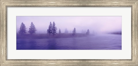 Framed USA, Wyoming, View of trees lining a misty river Print