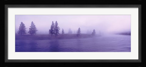 Framed USA, Wyoming, View of trees lining a misty river Print