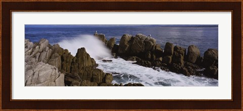 Framed Rock formations in water, Pebble Beach, California, USA Print