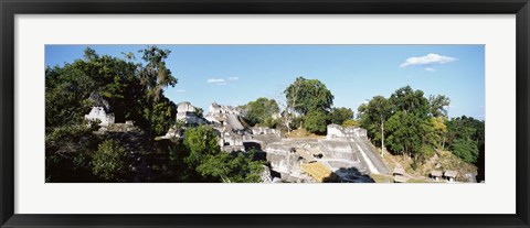 Framed Old Temple In The Forest, Tikal, Guatemala Print