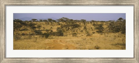 Framed Trees on a landscape, Samburu National Reserve, Kenya Print