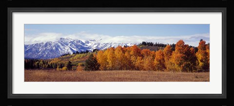 Framed Autumn Grand Teton National Park WY Print