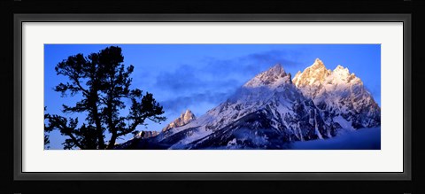 Framed Silhouette of a Limber Pine in front of mountains, Cathedral Group, Teton Range, Grand Teton National Park, Wyoming, USA Print