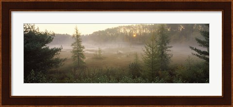 Framed Forest, Northern Highland-American Legion State Forest, Vilas County, Wisconsin, USA Print